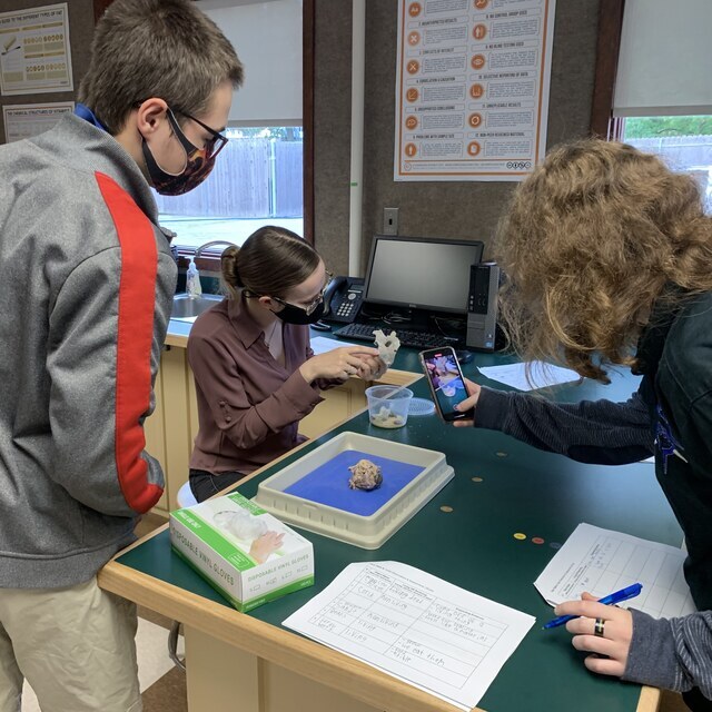 Mrs. Schobert's Biology class had a guest appearance from some live roaches and a cow eye to explore what is considered to be alive, deceased, and dormant.